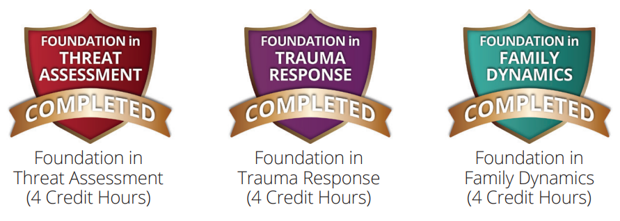 Foundation Badges Foundation Badges